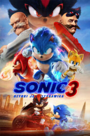Sonic 3 Vider